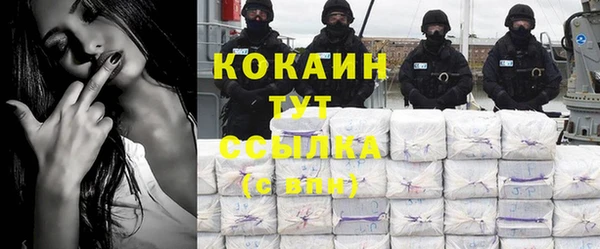 дживик Баксан